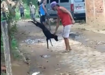 Homem é preso após maltratar e matar um cachorro, em Campos