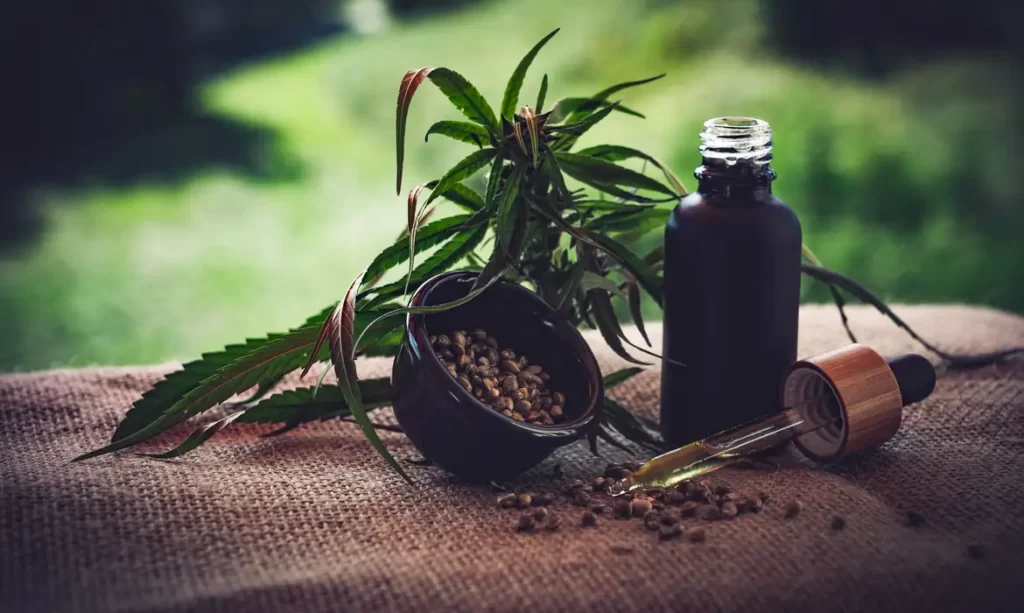 Rio de Janeiro terá política de fornecimento de canabidiol pelo SUS Foto: CBD-Infos-com/Pixabay