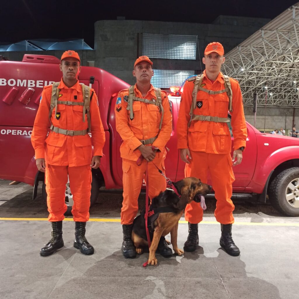 Cadela do Corpo de Bombeiros do RJ reforça buscas a fugitivos em Mossoró-RN Foto: Corpo de Bombeiros