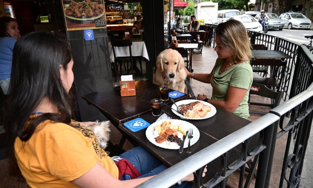 Animais domésticos poderão permanecer em estabelecimentos abertos;Entenda Erika (à esquerda) e Danielle almoçam com seus cachorros Foto: Divulgação/Demóstenes Ramos