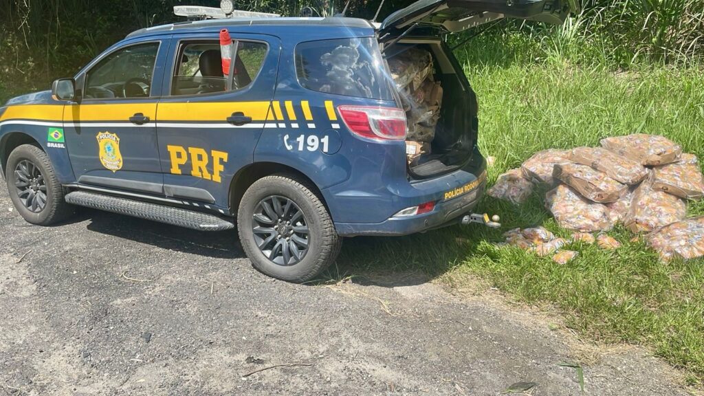 Saqueadores são presos em flagrante durante operação conjunta na Serra das Araras
